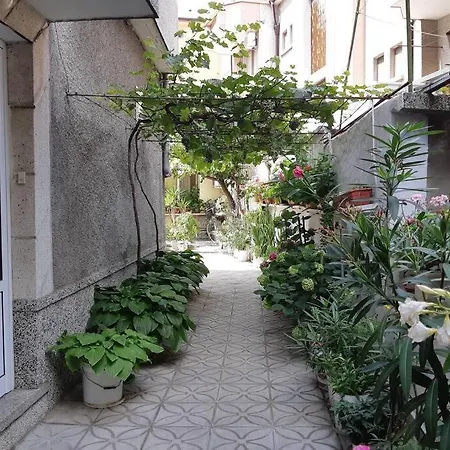 Apartament Floor In The Center Of