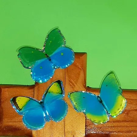 Floor In The Center Of 公寓