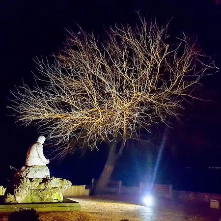 Floor In The Center Of *