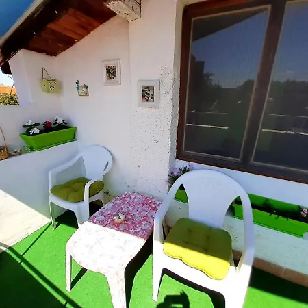 Apartament Floor In The Center Of *