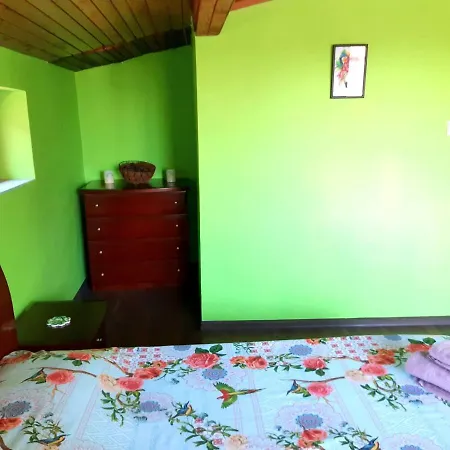 Floor In The Center Of 公寓