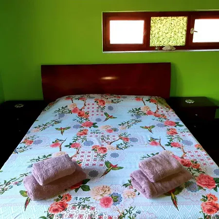 Floor In The Center Of Apartament Pomorie